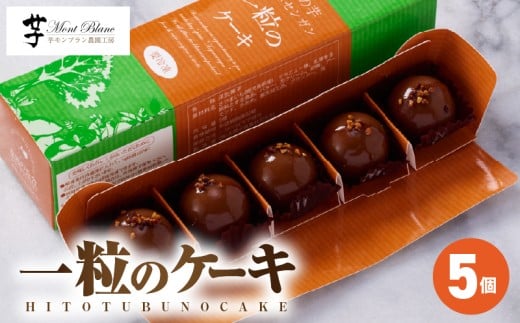 一粒のケーキ 5個入 KN035-004-03鹿児島県鹿屋市7000菓子・スイーツケーキ・カステラ