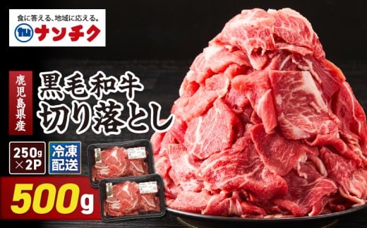鹿児島県産 黒毛和牛 切り落し 計500g KN102-006-01鹿児島県鹿屋市8000肉牛肉