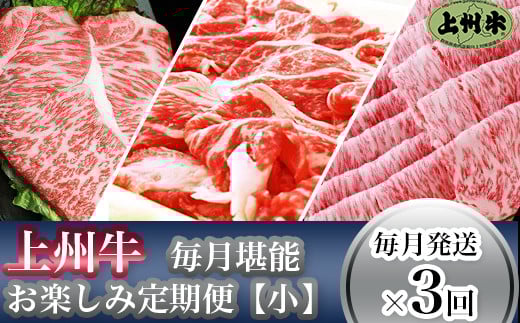 「上州牛」毎月堪能お楽しみ定期便(小)【毎月発送×3回お届け】群馬県玉村町53000肉牛肉