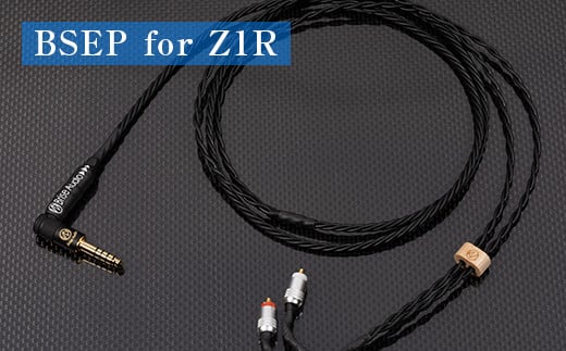 BSEP for Z1RQnʑ265000diƓd
