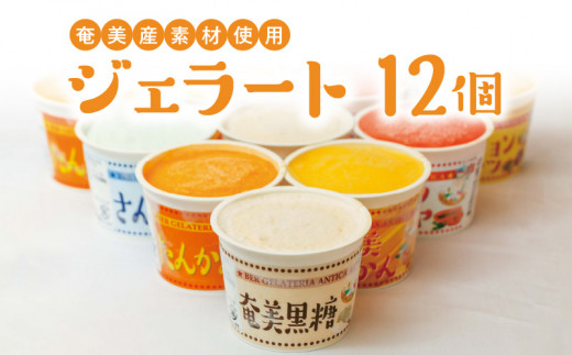 YfގgpWF[g 12@A047-002s22000َqEXC[cACXEWF[g