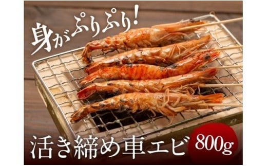 冷凍車エビ 800g(24〜46匹入) A049-001鹿児島県奄美市20000魚介・海産物エビ
