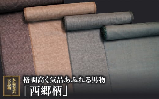 yj {ꉂ哇ہziCiӂuv@A060-005s2400000ߗށEiEH|ȋ iEH|i