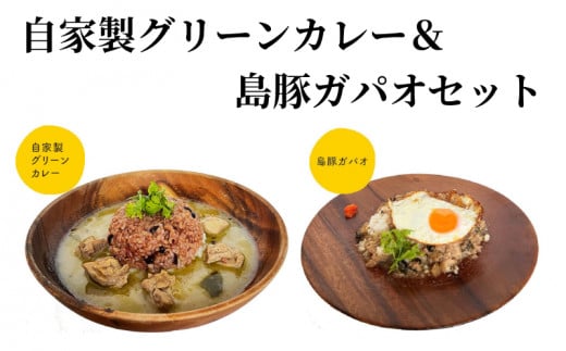 自家製グリーンカレー&島豚ガパオセット A129-002鹿児島県奄美市11000鍋セット・総菜・加工食品総菜