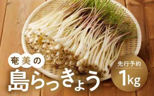 y2026Ns\z̓傤 1kg@A139-002s12000؁Ê̑ 