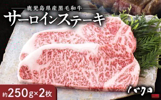 サーロインステーキ 250g×2枚 A152-001鹿児島県奄美市47000肉牛肉