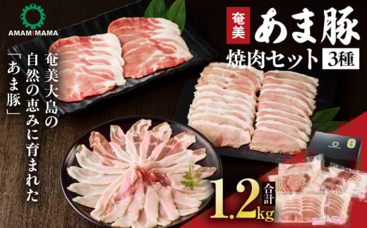 あま豚焼肉セット A146-007鹿児島県奄美市24000肉豚肉