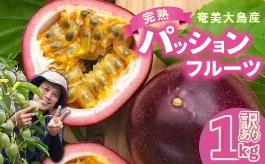 y2026Ns\񕪁z󂠂InI̓̃pbVt[cƒp 1kg iAFނ炠ATCYj@A151-002-02s9000ʕEt[c̑ ʕEt[c