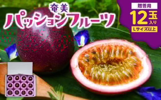 y2026Ns\zpbVt[c p 12ʓ@A135-007s28000ʕEt[c̑ ʕEt[c