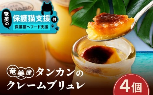 【奄美の保護猫支援(保護猫フード10日分)】+奄美産タンカンのクレームブリュレ(4個入り) A071-002-01鹿児島県奄美市20000菓子・スイーツプリン・ゼリー