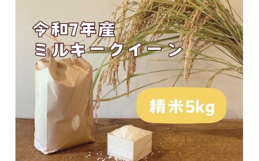 【令和7年産】栃木市岩舟町産ミルキークイーン5kg【精米】米 新米 ミルキー 農家直送 産地直送栃木県栃木市18000米・パン白米