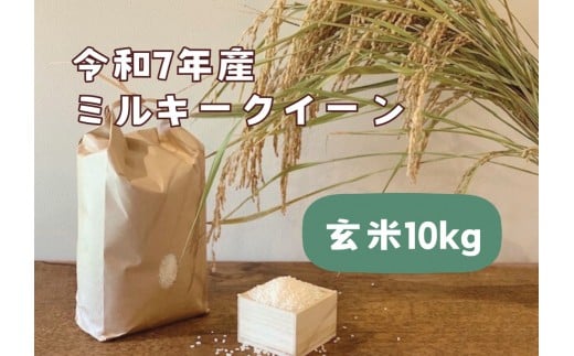 【令和7年産】栃木市岩舟町産ミルキークイーン10kg【玄米】 米 新米 玄米 ミルキー 農家直送 産地直送栃木県栃木市27000米・パン白米