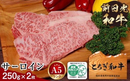 とちぎ和牛・前日光和牛(サーロイン250g 2枚)|肉 お肉 和牛 最高級 A5ランク A5等級 ステーキ栃木県栃木市53000肉牛肉