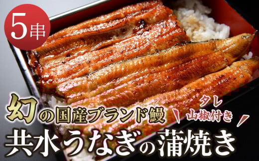 幻の国産ブランド鰻 共水うなぎのかば焼き 5串(約115g×5)タレ・山椒付き 極上の甘みとうまみ、ふっくらとした食感【鰻 魚介類 水産 食品 人気 おすすめ 】栃木県栃木市89000魚介・海