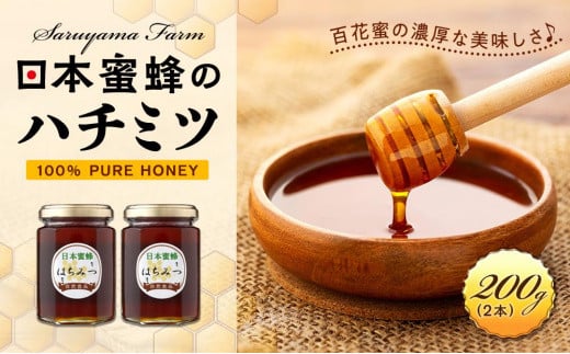 日本蜜蜂のハチミツ100%!はちみつ(2本)  高級 自然食品 無添加 ニホンミツバチ栃木県栃木市19000鍋セット・総菜・加工食品ジャム・はちみつ