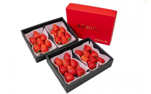 Âđ傫IJ삢 XJCx[  Ƃ Zbg v4pbN | ʕ t[c  Ȗ uh Ȗ،yt[c ʕ  Hi lC  zȖ،Ȗ؎s1600