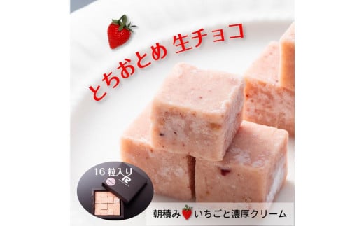 【ふるさと納税】 とちおとめ 生チョコレート(16粒入り) 栃木 とちぎ産 いちご イチゴ 苺 スイーツ 通販 お取り寄せ栃木県栃木市11000菓子・スイーツその他 洋菓子