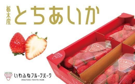 【先行予約】栃木市岩舟産とちあいか【フルーツ 果物 くだもの 食品 人気 おすすめ 】栃木県栃木市18000果物・フルーツいちご