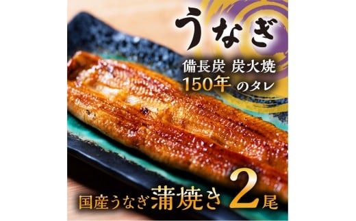 数量限定 国産うなぎ 蒲焼き(長焼き)120g程度×2本 <オリジナル御朱印付き> |  明治5年創業の老舗名店 150年秘伝のタレ付き 国産養殖うなぎ 蒲焼き うな重 ひつまぶしに 栃木県 栃木
