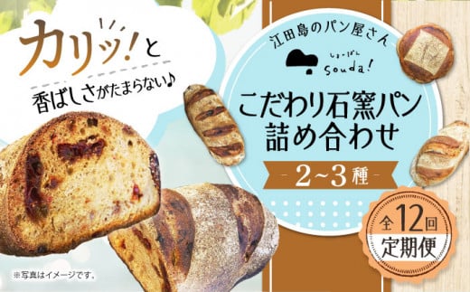 【全12回定期便】石窯パン 詰め合わせ (2〜3種)  定期便 パン ぱん ブレッド ベーカリー 冷凍 石窯 石窯パン 菓子パン 惣菜パン 国産 小麦 国産小麦 朝食 ルヴァン 天然酵母 ハードパン ハード