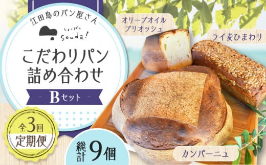 【全3回定期便】石窯パン 詰め合わせ Bセット (計9個)  定期便 パン ぱん ブレッド ベーカリー 冷凍 石窯 石窯パン 菓子パン 惣菜パン 国産 小麦 国産小麦 朝食 ルヴァン 天然酵母 ハードパン