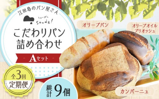 【全3回定期便】石窯パン 詰め合わせ Aセット (計9個)  定期便 パン ぱん ブレッド ベーカリー 冷凍 石窯 石窯パン 菓子パン 惣菜パン 国産 小麦 国産小麦 朝食 ルヴァン 天然酵母 ハードパン