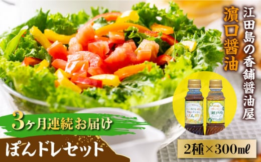 【全3回定期便】かけるだけで大満足のぽんドレセット 300mL×2種 ポン酢 ドレッシング サラダ ゆず 鍋 醤油 しょう油 しょうゆ お醤油 セット 詰め合わせ 調味料 大豆 発酵食品 刺身 煮物 だし