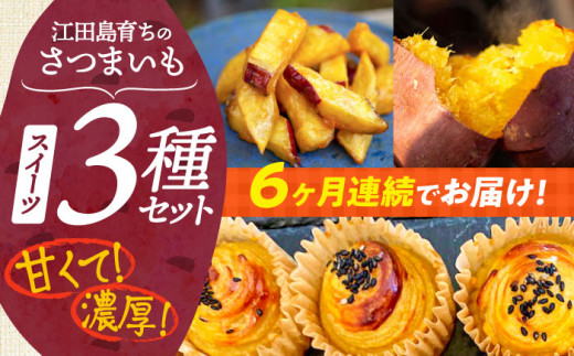 【全6回定期便】ねっとり濃厚!てくてくのさつまいもスイーツ 3種詰め合わせ 焼き芋 スイートポテト 大学芋 さつまいも スイーツ 芋 さつまいも サツマイモ さつま芋 スイーツ デザート お