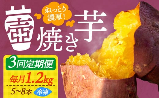 【全3回定期便】【ねっとり濃厚】てくてくの壺焼き芋 1.2kg さつまいも 芋 スイーツ お菓子 焼き芋 冷凍 蜜芋 紅はるか 安納芋 シルクスイート ねっとり ホクホク 石焼き芋 壺焼き芋 甘い 国