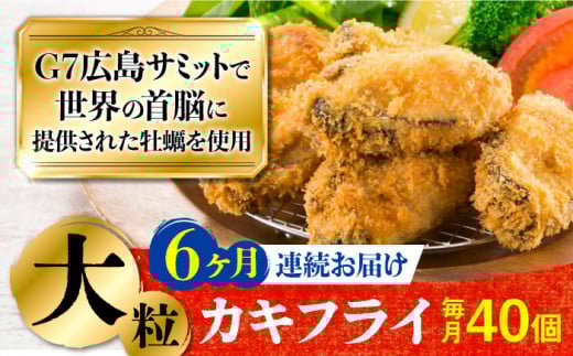 広島G7で提供された牡蠣!【全6回定期便】【広島県産】牡蠣屋さんが作ったこだわりの大粒 カキフライ 40個(瞬間冷凍) 牡蠣 かき カキ 料理 簡単 おつまみ お弁当 お惣菜 おかず <マルサ