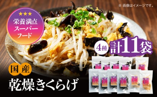 【栄養満点のスーパーフード!りんりんきくらげ】国産 木耳 美容 健康 腸活 ぷりこりセット 計11袋 きくらげ キクラゲ 木耳 きのこ キノコ 食品 食物繊維 野菜 やさい ビタミンD 乾燥 炒め物