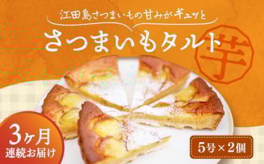 【全3回定期便】【さつまいもの甘みがぎゅっと詰まったタルト】てくてくのさつまいもたると ホール5号× 2個セット 芋 さつまいも サツマイモ さつま芋 スイーツ デザート タルト おやつ