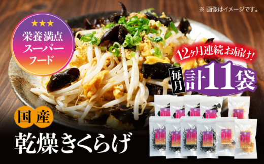 【全12回定期便】【栄養満点のスーパーフード!りんりんきくらげ】国産 乾燥 木耳 美容 健康 ぷりこりセット 計11袋 きくらげ キクラゲ 木耳 きのこ キノコ 食品 食物繊維 野菜 やさい ビタ