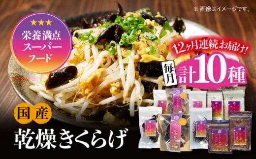 yS12ցzyh{_̃X[p[t[hI񂫂炰zY  ؎ e N 悭΂Zbg v10 炰 LNQ ؎ ̂ LmR Hi H@  ₳ r^