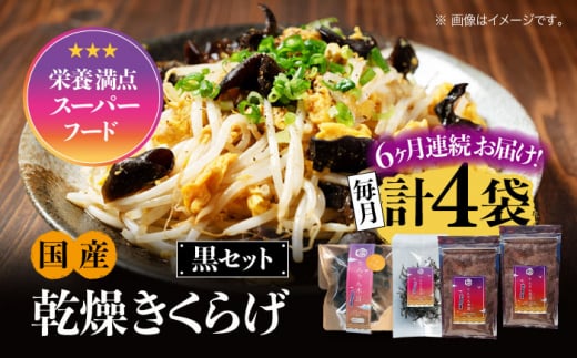 yS6ցzyh{_̃X[p[t[hI񂫂炰zY  ؎ e N Zbg v4 炰 LNQ ؎ ̂ LmR Hi H@  ₳ r^~D 