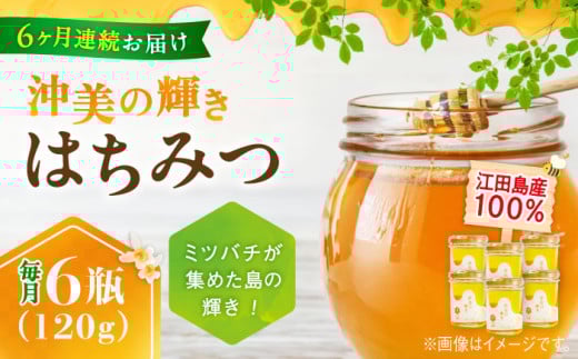 yS6ցz]cY100 ݂͂ w̋Px120g×6{Zbg n`~c I Y L ]cs/͂͂ȉʖI [XCD022] n`~c YI Y݂͂ Y݂͂  I