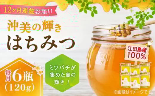 yS12ցz]cY100 ݂͂ w̋Px120g×6{Zbg n`~c I Y L ]cs/͂͂ȉʖI [XCD023] n`~c YI Y݂͂ Y݂͂  I