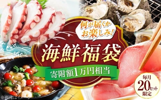 【何が届くかお楽しみ】旬の海の幸 福袋 寄附額1万円相当 魚介類 海産物 海鮮 刺身 広島 海鮮 魚介類 冷凍 水産加工品 海藻 鮮魚 さかな 刺身 詰め合わせ セット 小分け 海鮮丼 加工品 惣菜