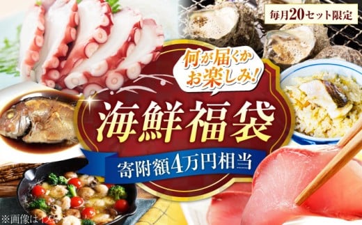 【何が届くかお楽しみ】旬の海の幸福袋 寄附額4万円相当 魚介類 海産物 海鮮 刺身 広島 海鮮 魚介類 冷凍 水産加工品 海藻 鮮魚 さかな 刺身 詰め合わせ セット 小分け 海鮮丼 加工品 惣菜