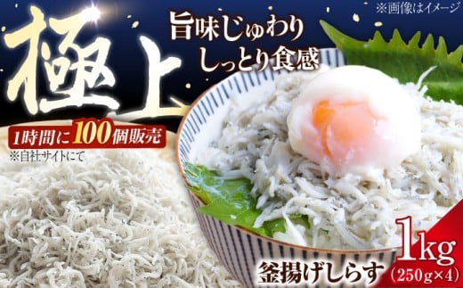 しらす 冷凍 鮮度抜群&水分率80%!ふわふわ釜揚げしらす 1kg 冷凍 しらす シラス 干し 釜揚げ 小分け 魚介類 鮮魚 ギフト 料理 レシピ シラス丼 しらす丼 海鮮丼 生 生産地 おつまみ ご飯のお
