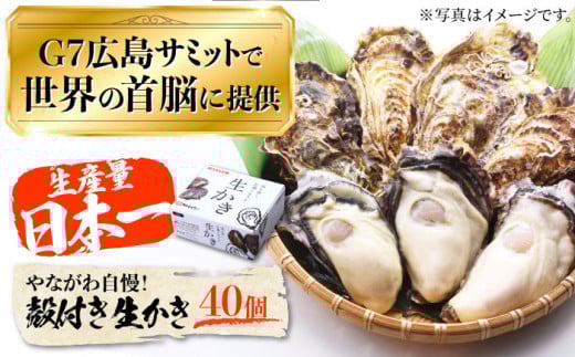 y225ijzLG7Œ񋟂ꂽyIyw\zȂ펩Ikt y 40i5kgjy  JL y kt L ]cs/}TEȂ퐅YL[XBL009]