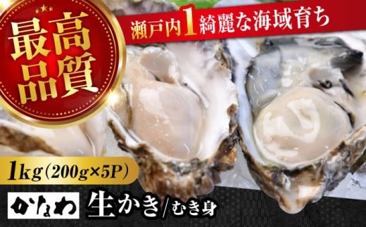 yNzyΕΏہzLy̘V܁ISES̐VNyyyzy  ނg 1kgpbN Hp  CN LY ]cs/ЂȂ [XBP004] y H ނ