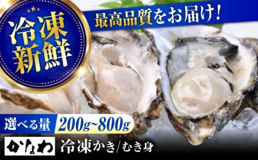 Ly̘V܁ISES̐VNyyuԗⓀzy ނg 800g  aH CN CY LY ]cs/ЂȂ [XBP054] y H Ⓚ ނg kt kt k  JL 