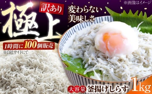 【訳あり】しらす 冷凍 シラス 釜揚げ鮮度抜群&水分率80%!ふわふわ 釜揚げしらす  1kg (業務用) 冷凍 しらす シラス 干し 釜揚げ 小分け 魚介類 鮮魚 ギフト 料理 レシピ シラス丼 しらす