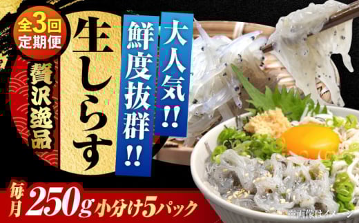 【全3回定期便】生しらす 50gX5個 冷凍 しらす シラス 干し 釜揚げ 小分け 魚介類 鮮魚 ギフト 料理 レシピ シラス丼 しらす丼 海鮮丼 生 生産地 おつまみ ご飯のお供 グルメ やみつき 旬 国産