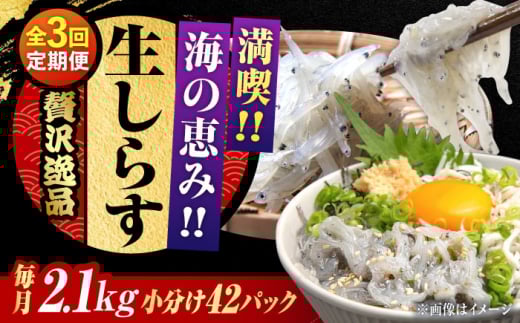 yS3ցz炷 Ⓚ 炷 50g×42 Ⓚ 炷 VX  g   N Mtg  Vs VX 炷 CN  Yn ܂ т̂ O 