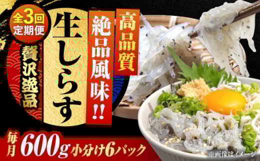 【全3回定期便】しらす 冷凍 生しらす 100g×6個 冷凍 しらす シラス 干し 釜揚げ 小分け 魚介類 鮮魚 ギフト 料理 レシピ シラス丼 しらす丼 海鮮丼 生 生産地 おつまみ ご飯のお供 グルメ や