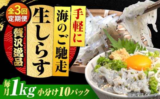 【全3回定期便】しらす 冷凍 生しらす 100g×10個 冷凍 しらす シラス 干し 釜揚げ 小分け 魚介類 鮮魚 ギフト 料理 レシピ シラス丼 しらす丼 海鮮丼 生 生産地 おつまみ ご飯のお供 グルメ や
