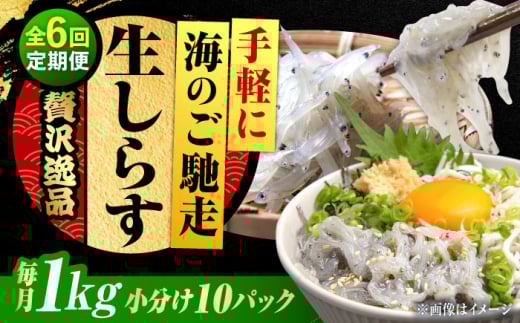 yS6ցz炷 Ⓚ 炷100g×10 Ⓚ 炷 VX  g   N Mtg  Vs VX 炷 CN  Yn ܂ т̂ O 