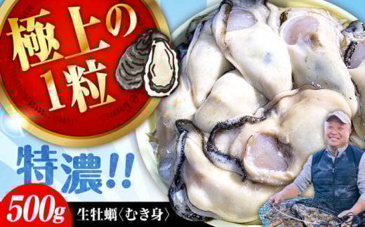 y131iyjzy ނg  JL ỉyYnI yyzyw\z wĂ܂邩x y ނg 500g Mp  CN CY ȒP LY ]cs/L